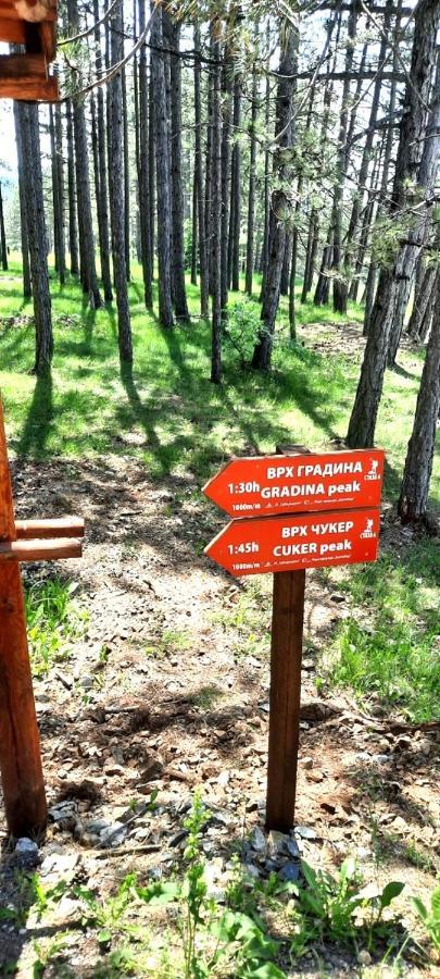 Zlatibor Apartman Jagoda Eksteriør bilde